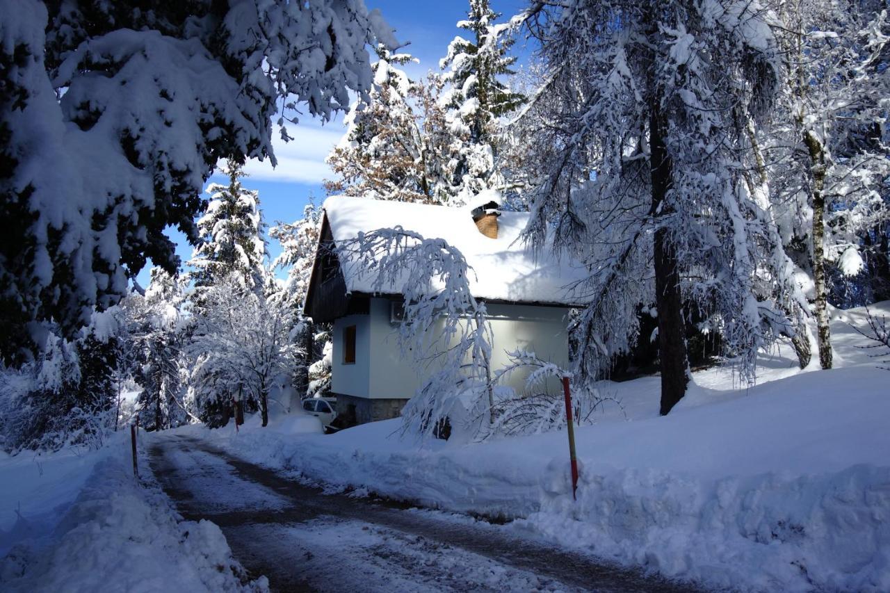 Villa Forest House à Vrhnika Extérieur photo