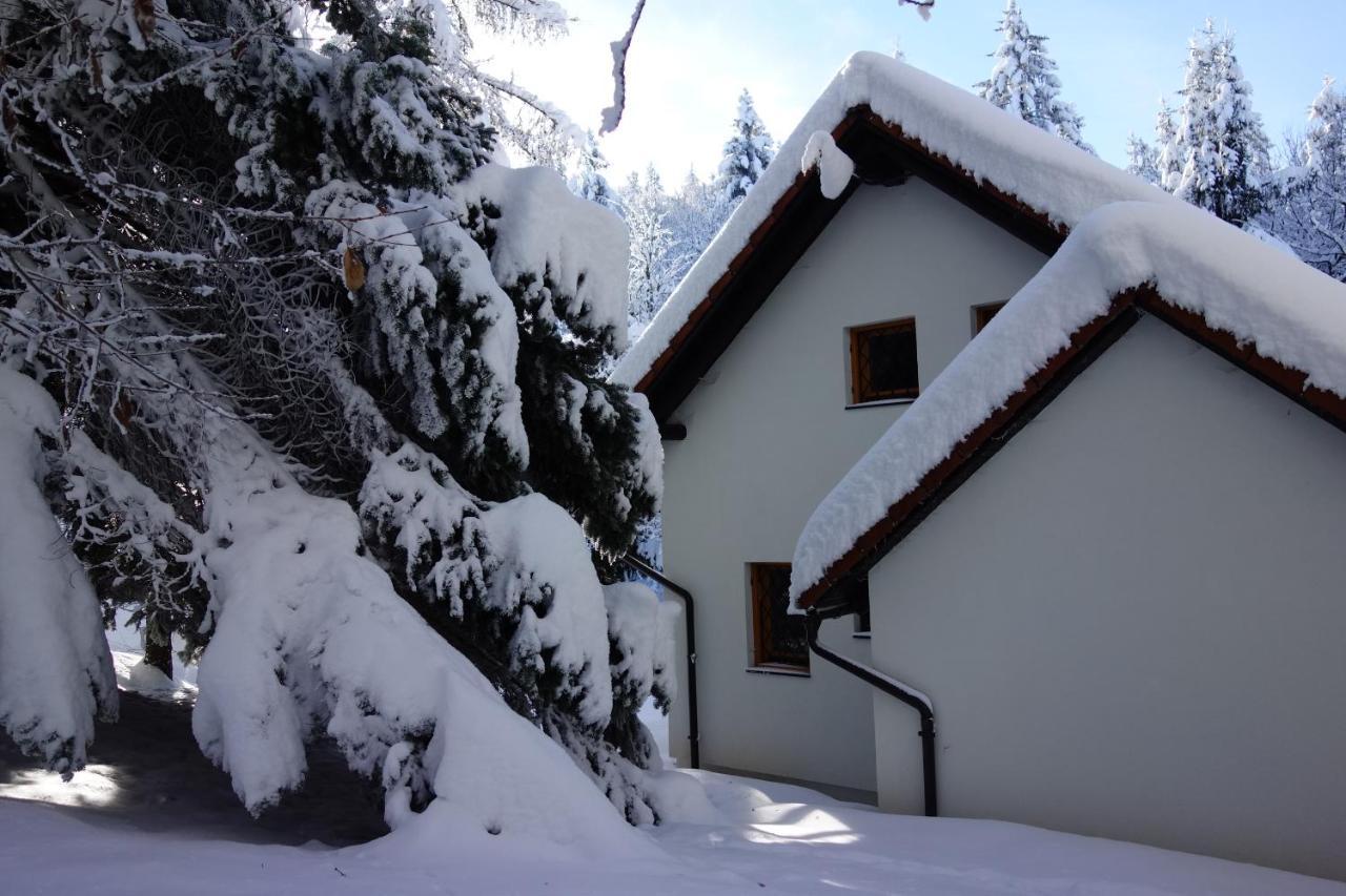 Villa Forest House à Vrhnika Extérieur photo